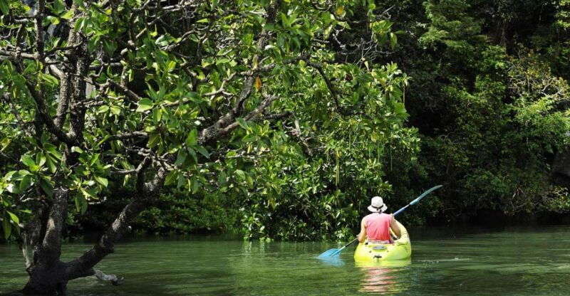 Koh Lanta: Amazon Mangrove Kayaking Tour With Lunch - Good To Know