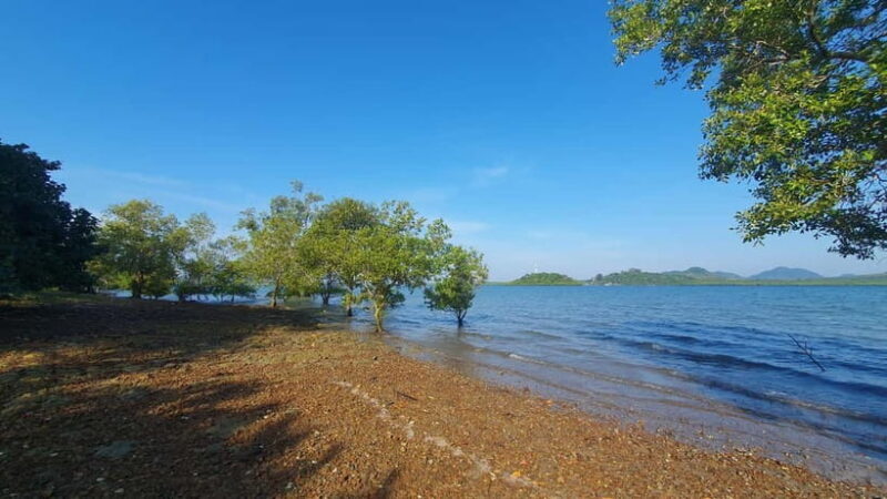 Koh Lanta Cultural Tuk-Tuk Tour: Old Town, Batik & Mangroves - Exploring the Koh Lanta Tuk-Tuk Experience  