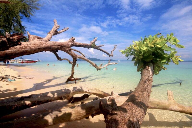 Koh Lanta: Emerald Cave, Ko Kradan & 4 Islands by Speedboat - Pickup Locations and Schedule