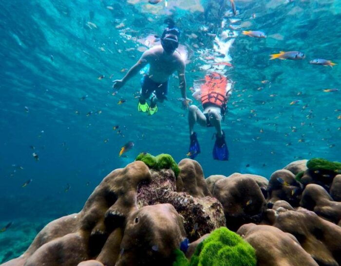 Koh Lanta: Emerald Cave, Ko Kradan & 4 Islands by Speedboat - Snorkeling at Koh Ngai