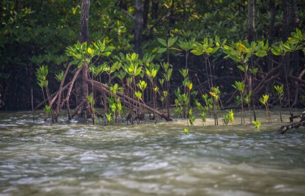 Koh Lanta: Half-Day 3 Island and Kayaking Talabeng - Common Questions