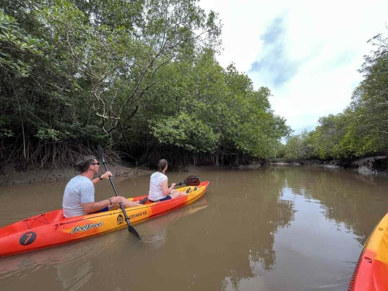 Koh Lanta: Mangrove Kayaking Tour with Hotel Pickup & Lunch - Good To Know