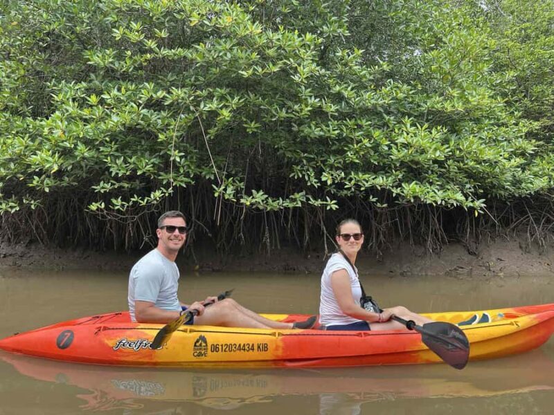 Koh Lanta: Mangrove Kayaking Tour with Hotel Pickup & Lunch - Introduction: What to Expect from the Koh Lanta Mangrove Kayaking Tour