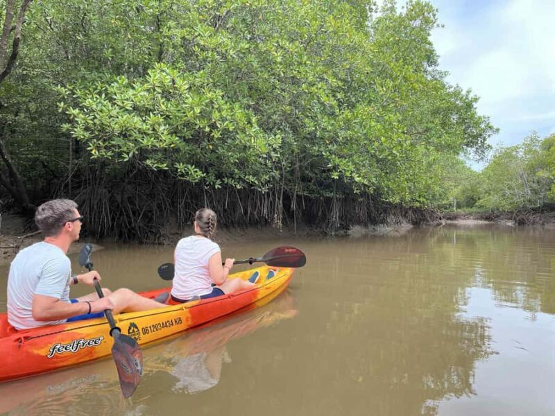 Koh Lanta: Mangrove Kayaking Tour with Hotel Pickup & Lunch - Final Thoughts