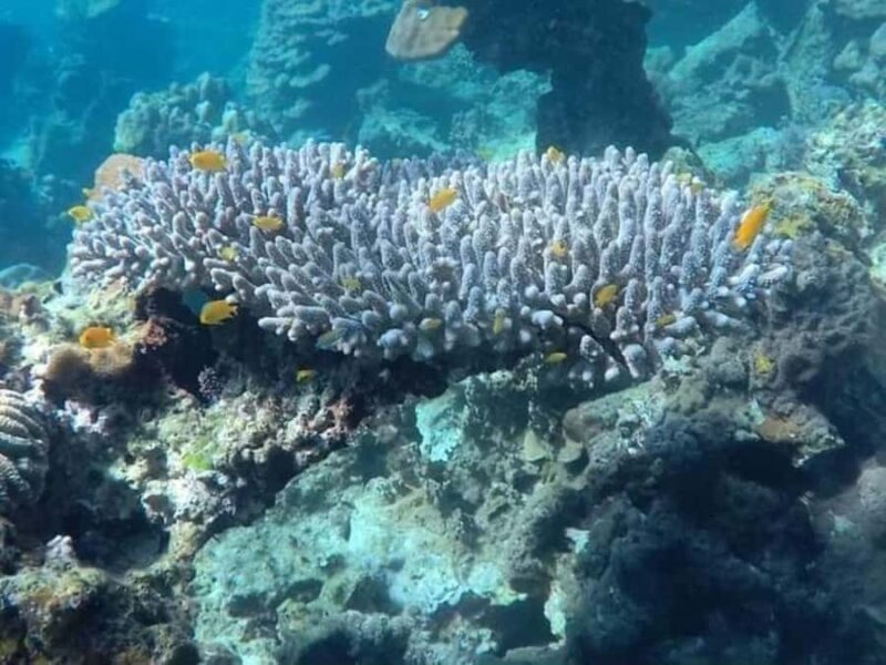 Koh Lanta: Options of Old Town, Mangrove, Kayaking or Island - FAQ