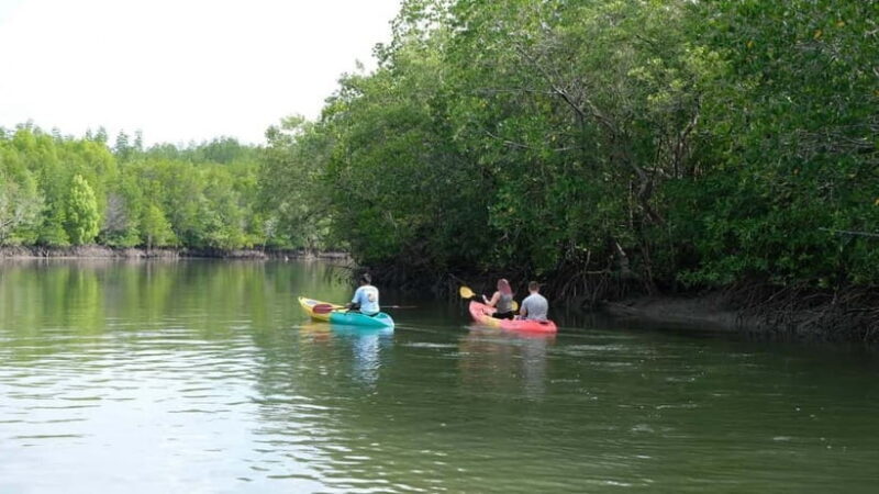 Koh Lanta: Paddle Serenity & Thung Yee Pheng's Mangrove Maze - An In-Depth Look at the Tour Experience