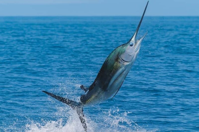 Koh Lanta Private Night Fishing Experience on Longtail Boat - The Itinerary in Detail