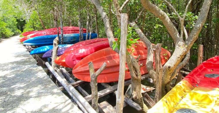 Koh Lanta:Mangrove + Elephant Camp Half Day Tour - Booking Information