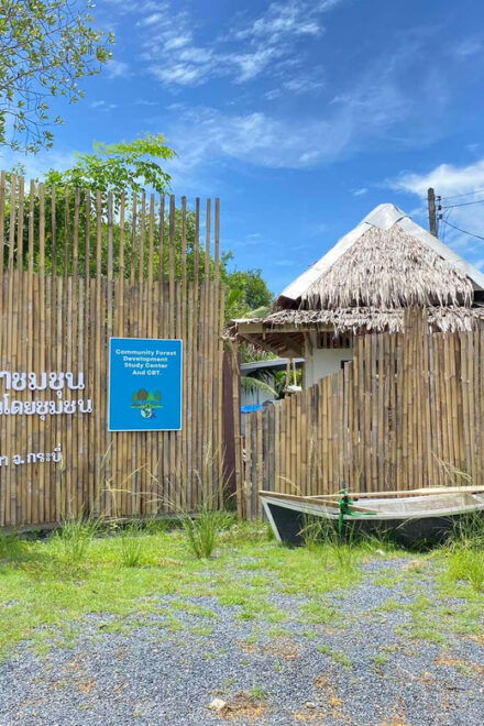 Koh Lanta:Mangrove + Elephant Camp Half Day Tour - Inclusions and Exclusions