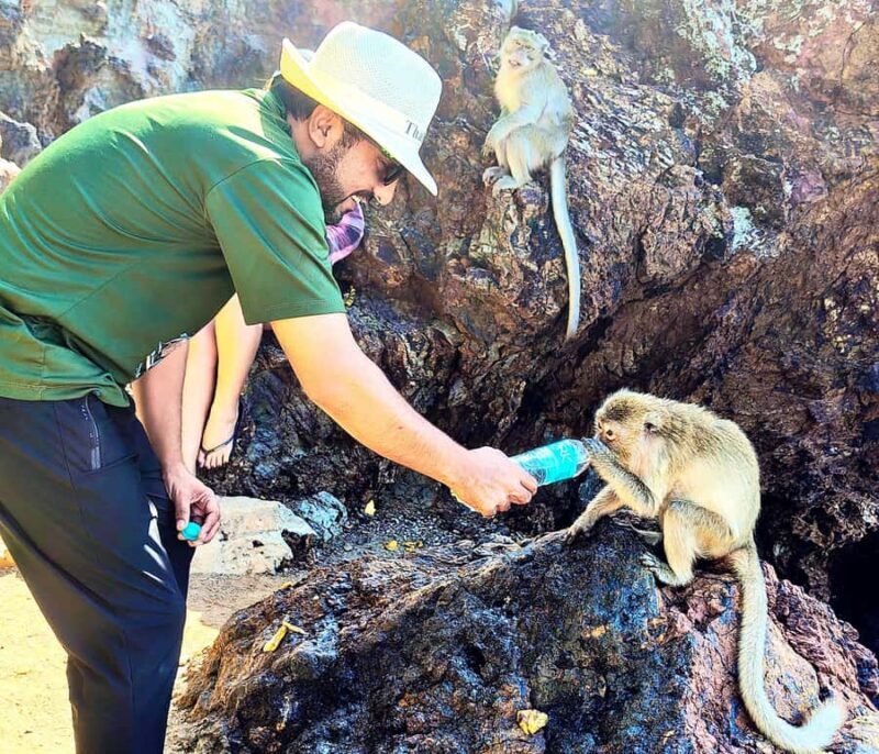 Koh Larn Monkey Beach Guided Tour and Watersports - Good To Know