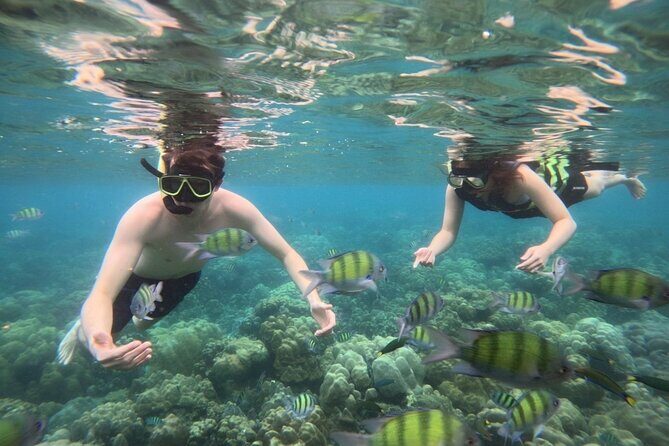 Koh Lipe 4 Islands Snorkeling and Sunset by Longtail Boat - What’s Included and What’s Not?