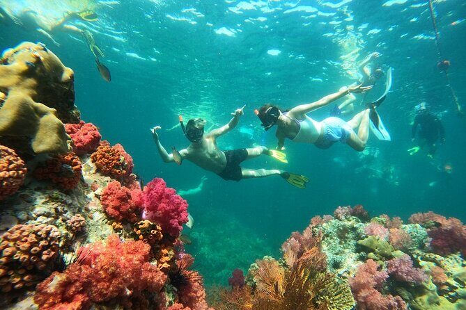 Koh Lipe 4 Islands Snorkeling and Sunset by Longtail Boat - Good To Know