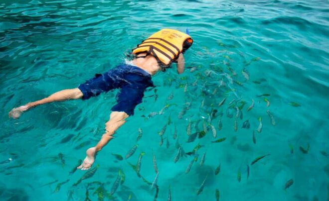 Koh Lipe: 5 Island Snorkeling Trip by Longtail Boat W/ Lunch - Included Amenities and Services
