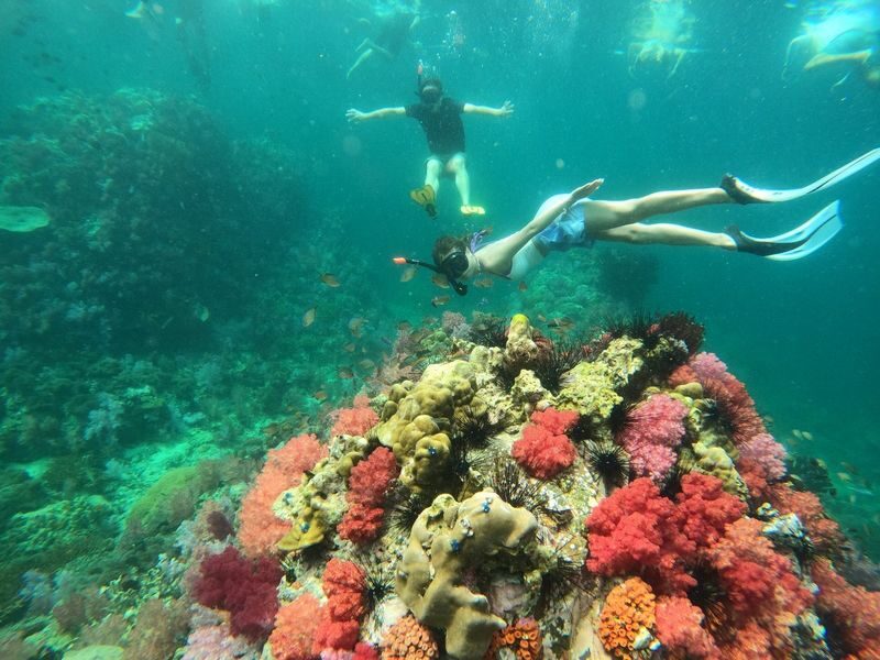 Koh Lipe 5 Islands Snorkeling Tour with Longtail Boat - Key Points