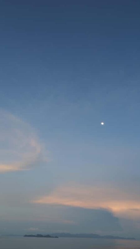 Koh Lipe: afternoon tour with two dives and sunset - The Marine Environment: Why It’s Special