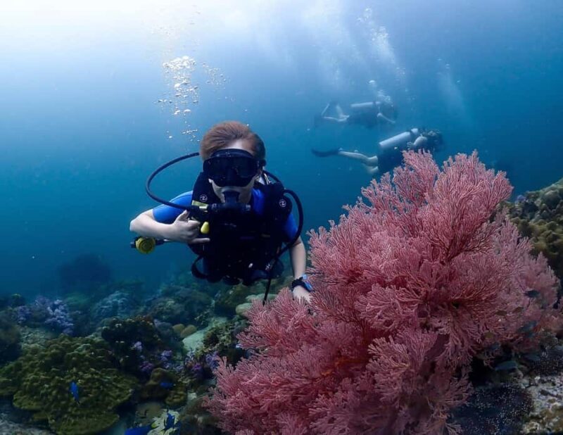 Koh Lipe: Discover SCUBA Diving - Half Day Tour - 1 Dive - The Experience Details