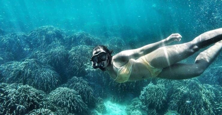 Koh Lipe: Full Day Multi-Island Snorkeling Trip With Lunch - Trip Highlights