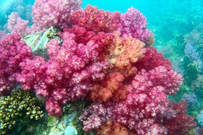Koh Lipe: Full Day Multi-Island Snorkeling Trip With Lunch - Snorkeling Locations