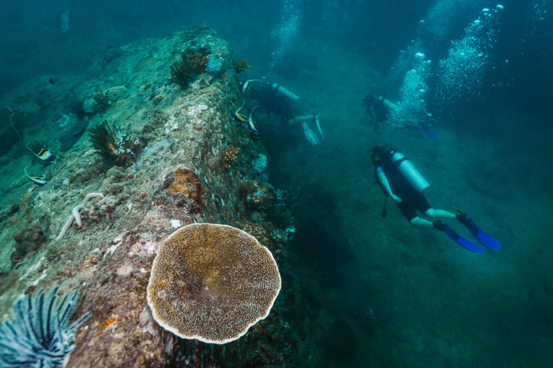 Koh Lipe Full Day Scuba Diving - What the day may look like