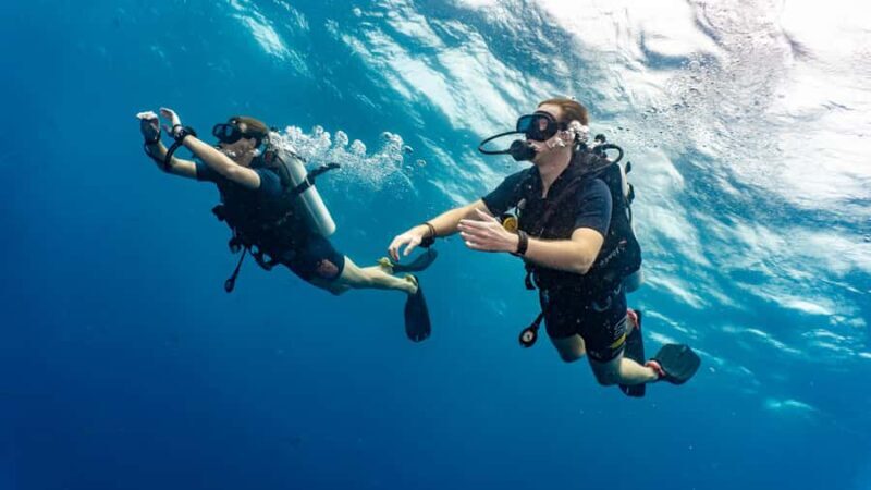 Koh Lipe: Fun Dive for Certified Divers - FAQ: Common Questions About the Koh Lipe Fun Dive