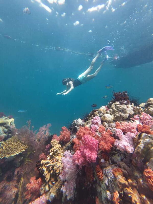 Koh Lipe: Half-Day Snorkeling (Morning/Afternoon/Sunset) - What the Tour Includes