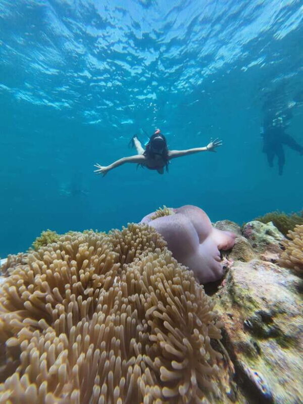 Koh Lipe: Half-Day Snorkeling (Morning/Afternoon/Sunset) - The Authenticity and Experience Level