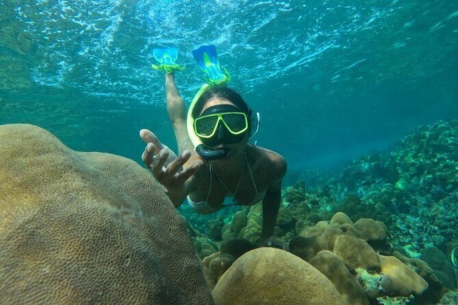 Koh Lipe Inside Outside Snorkel Tour by Private Longtail Boat - An In-Depth Look at the Tour Experience