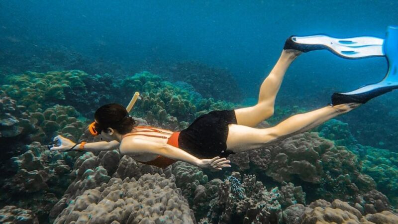 Koh Lipe: Longtail Boat Snorkeling Trip Program A - The Sum Up