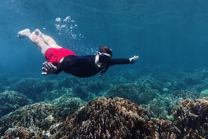 Koh Lipe Morning Snorkeling Trip 4 Islands, 5 Spots - Who Should Consider This Tour?