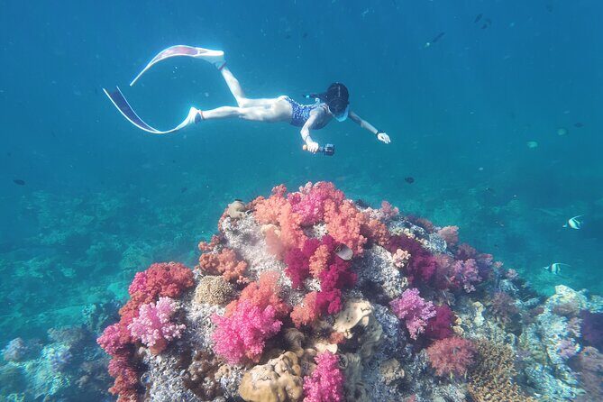 Koh Lipe Morning Snorkeling Trip 4 Islands, 5 Spots - FAQ