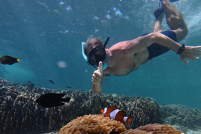 Koh Lipe Morning Snorkeling Trip 4 Islands, 5 Spots - Practical Details and What to Expect