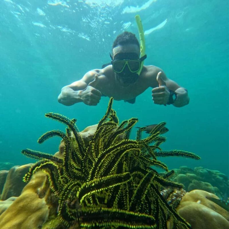 Koh Lipe: Private Snorkeling & Islands Hopping with Lunch - Detailed Breakdown of the Itinerary