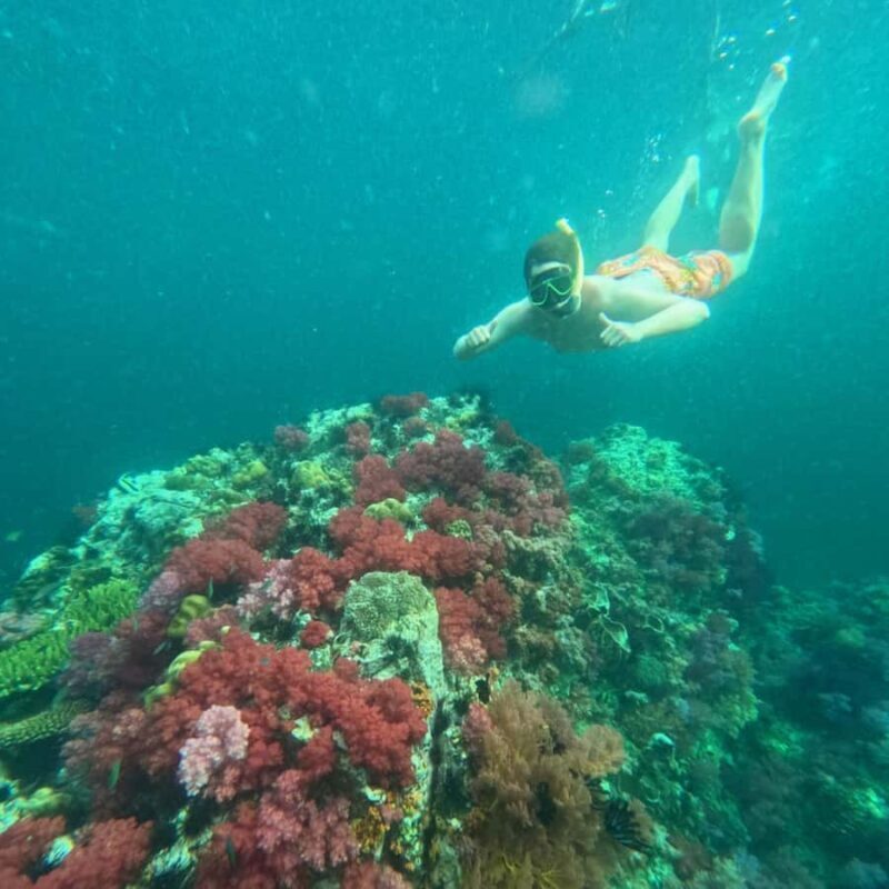 Koh Lipe: Private Snorkeling & Islands Hopping with Lunch - Transportation, Timing, and Overall Value