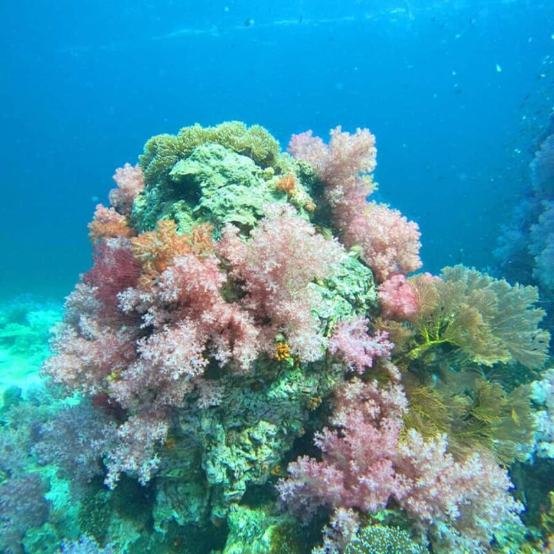 Koh Lipe: Private Snorkeling & Islands Hopping with Lunch - Who Is This Tour Best For?