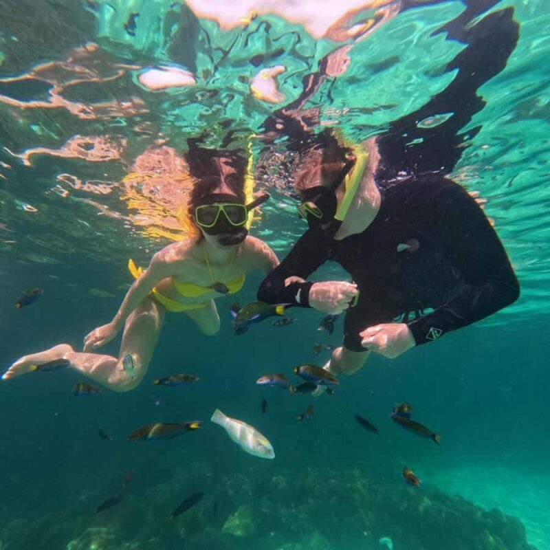 Koh Lipe: Private Snorkeling & Islands Hopping with Lunch - Introduction: Why This Tour Is Worth Considering