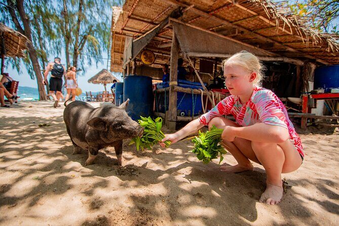 Koh Madsum and Koh Tan Snorkeling Trip By Speedboat From Koh Samui - Good To Know