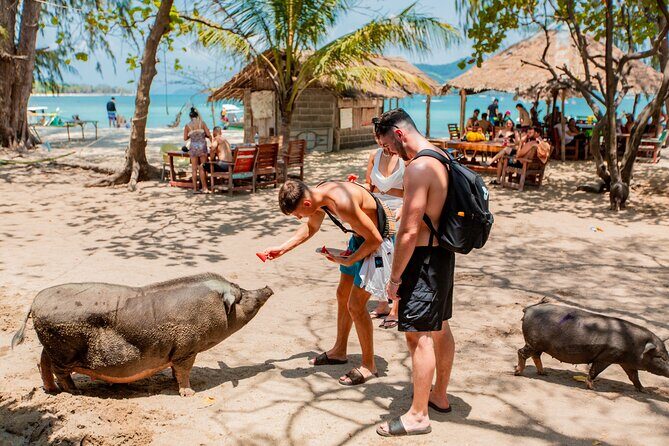 Koh Madsum and Koh Tan Snorkeling Trip By Speedboat From Koh Samui - Detailed Review of the Koh Madsum and Koh Tan Snorkeling Tour