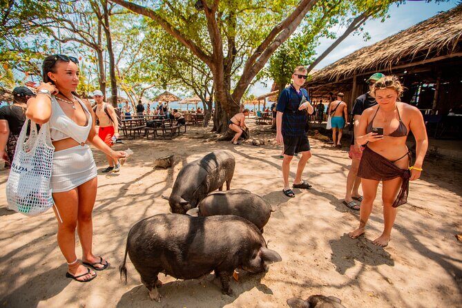 Koh Madsum and Koh Tan Snorkeling Trip By Speedboat From Koh Samui - The Itinerary – What to Expect