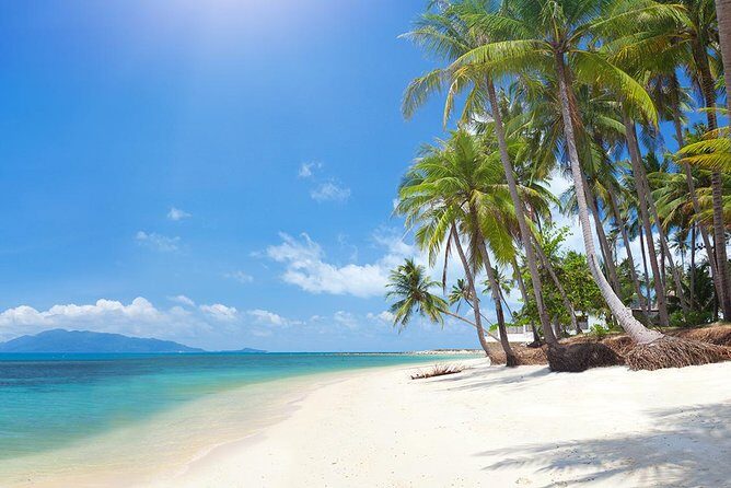 Koh Madsum (Pig island) and Koh Tan Day Tour from Koh Samui - A Detailed Look at the Koh Madsum and Koh Tan Tour