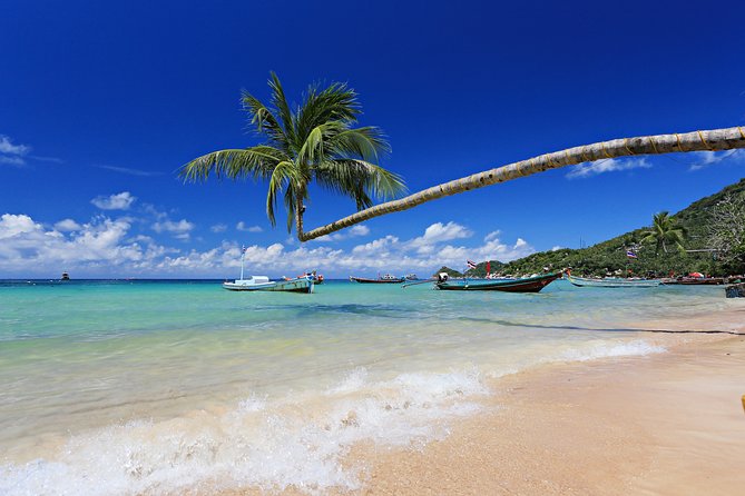 Koh Nang Yuan and Koh Tao Snorkeling Tour From Koh Samui - Important Information