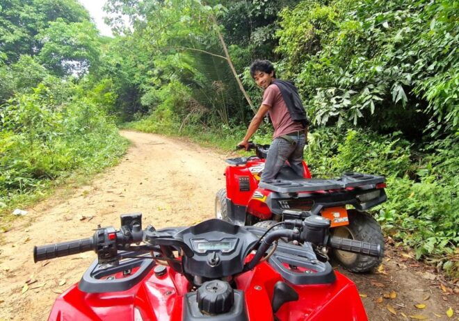 Koh Pha Ngan: Off-Road Adventure ATV Quad Bike Jungle Tour - Customer Review