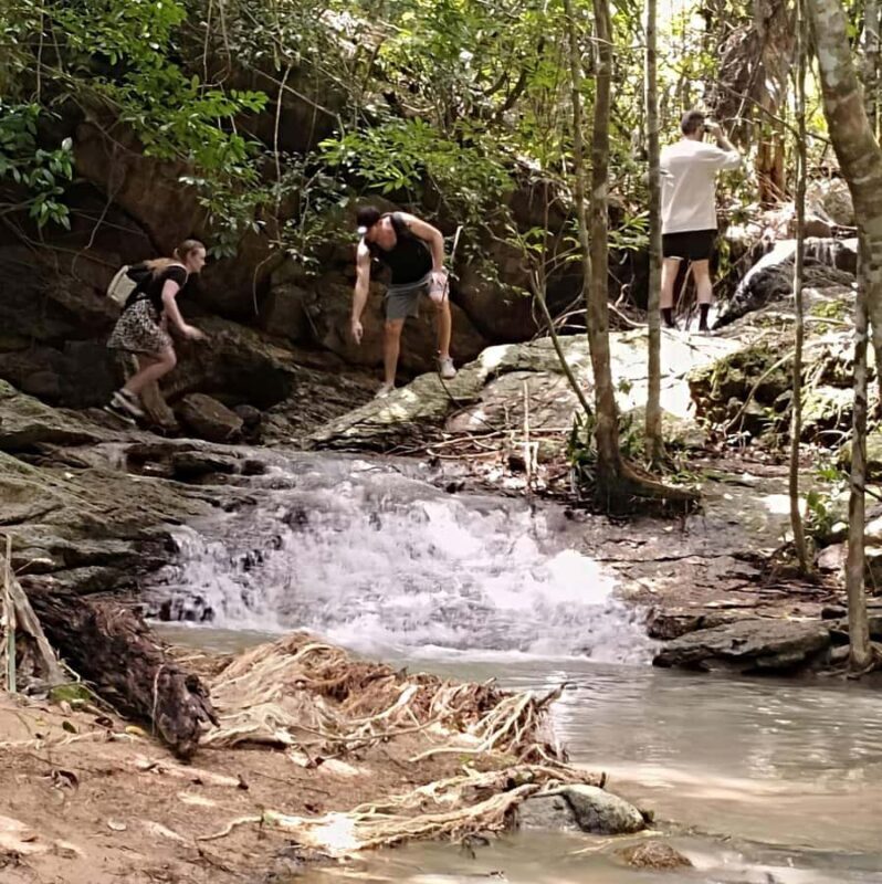 Koh Pha Ngan: Options Discover of ATV or Zipline Adventures - In-Depth Look at the Experience