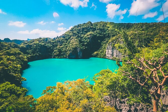 Koh Phaluai and Ang Thong Marine Park Tour by Speedboat From Koh Samui - Customer Reviews and Ratings