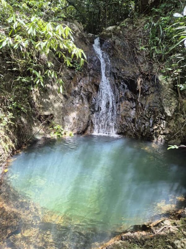 Koh Phangan: Hidden Jungle Trekking & Waterfall Adventure - An In-Depth Look at the Jungle & Waterfall Adventure