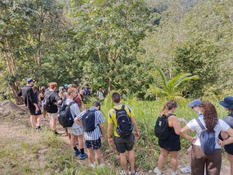 Koh Phangan: Hidden Jungle Trekking & Waterfall Adventure - Dining in Nature: Thai Lunch in Banana Leaves