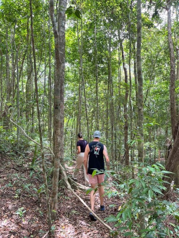 Koh Phangan: Hidden Jungle Trekking & Waterfall Adventure - Practical Details & What You Need to Know