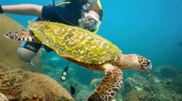 Koh Phangan: Mu Ko Ang Thong National Park Speedboat Tour - Nearby Attractions and Activities