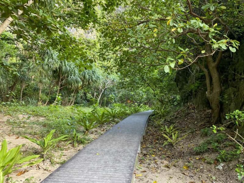 Koh Phi Phi: One-Day Maya Bay, Bamboo & Sunset by Speedboat - Comfort and Convenience