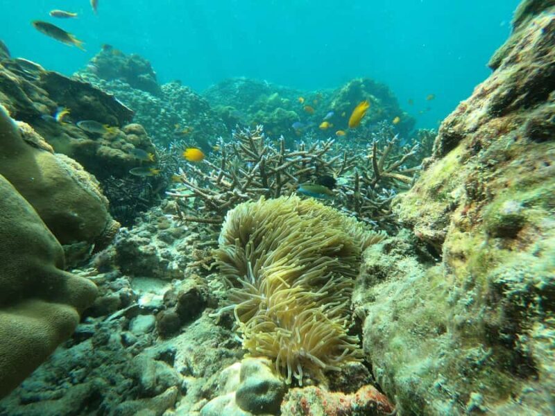 Koh Phi Phi: One-Day Maya Bay, Bamboo & Sunset by Speedboat - Final Thoughts: Is It Worth It?