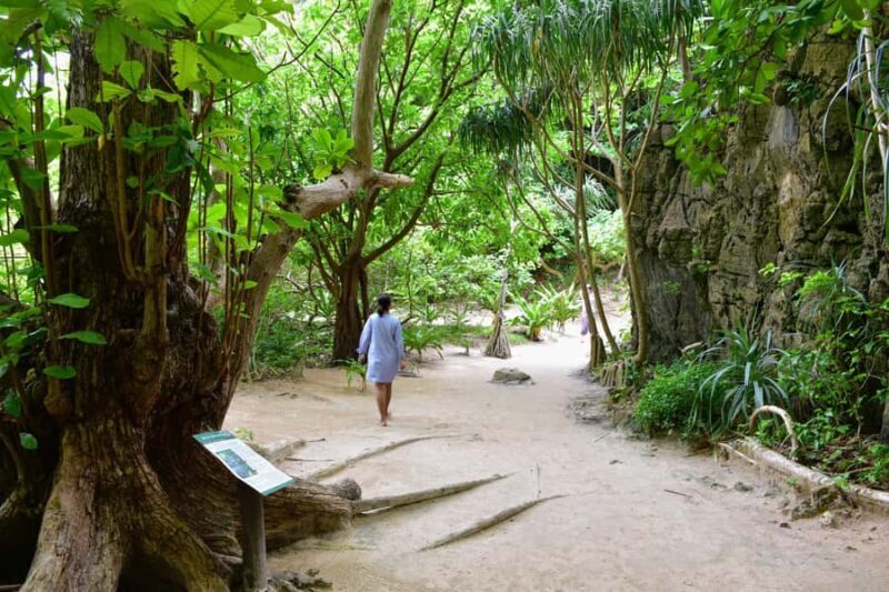 Koh Phi Phi: The Privateer's Half-Day Coves & Lagoon Quest - Final Thoughts